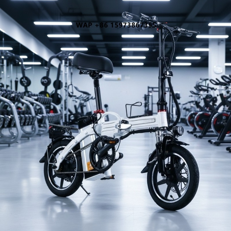Mini opvouwbare elektrische fi - Commuting With Bike recensie en prijs